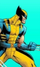 Image for Os Segredos de Wolverine 