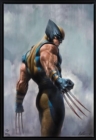 Image for Os Segredos de Wolverine.