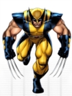 Image for Los secretos de Wolverine.