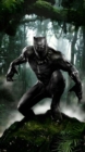 Image for Black Panther&#39;s Secrets