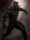 Image for Black Panther&#39;s Secrets.