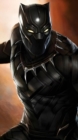 Image for Black Panther Secrets.