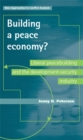 Image for Building a peace economy?: liberal peacebuilding and the development-security industry