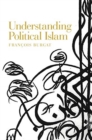 Image for Understanding Political Islam