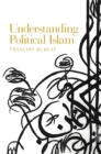 Image for Understanding Political Islam