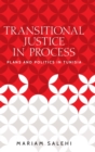 Image for Transitional justice in process  : plans and politics in Tunisia