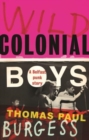 Image for Wild colonial boys  : a Belfast punk story