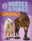 Image for Pet Expert: Horses and Ponies