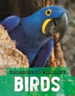 Image for Endangered Wildlife: Rescuing Birds