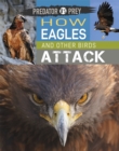 Image for How eagles and other birds attack