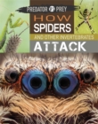 Image for How spiders and other invertebrates attack