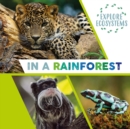 Image for Explore Ecosystems: In a Rainforest