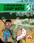 Image for The peculiar affair of cloudy water