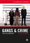 Image for Gangs &amp; crime: critical alternatives