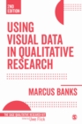 Image for Using Visual Data in Qualitative Research : 5