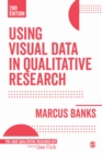 Image for Using Visual Data in Qualitative Research
