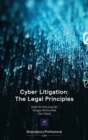 Image for Cyber Litigation: The Legal Principles