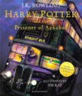 Image for Harry Potter and the prisoner of Azkaban