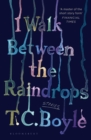 Image for I Walk Between the Raindrops
