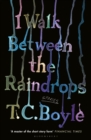 Image for I walk between the raindrops  : stories