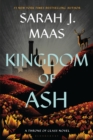 Image for Kingdom of Ash