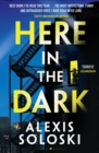 Image for Here in the Dark