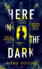 Image for Here in the Dark