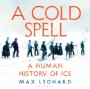 Image for A cold spell  : a human history of ice