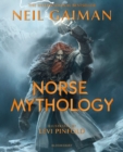 Image for Norse Mythology Illustrated
