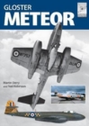 Image for Flight Craft 13: The Gloster Meteor in British Service