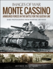 Image for Monte Cassino: Amoured Forces in the Battle for the Gustav Line