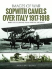 Image for Sopwith Camels Over Italy, 1917-1918