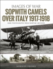 Image for Sopwith Camels over Italy, 1917-1918