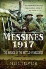 Image for Messines 1917