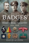 Image for Badges of the Territorial infantry, 1914-1918