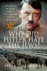 Image for Why did Hitler hate the Jews?