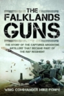 Image for The Falklands guns