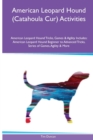 Image for American Leopard Hound (Catahoula Cur) Activities American Leopard Hound Tricks, Games &amp; Agility. Includes : American Leopard Hound Beginner to Advanced Tricks, Series of Games, Agility and More
