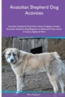 Image for Anatolian Shepherd Dog Activities Anatolian Shepherd Dog Tricks, Games &amp; Agility. Includes : Anatolian Shepherd Dog Beginner to Advanced Tricks, Series of Games, Agility and More