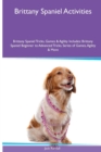 Image for Brittany Spaniel Activities Brittany Spaniel Tricks, Games &amp; Agility. Includes : Brittany Spaniel Beginner to Advanced Tricks, Series of Games, Agility and More