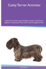 Image for Cesky Terrier Activities Cesky Terrier Tricks, Games &amp; Agility. Includes : Cesky Terrier Beginner to Advanced Tricks, Series of Games, Agility and More