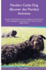 Image for Flanders Cattle Dog (Bouvier des Flandes) Activities Flanders Cattle Dog Tricks, Games &amp; Agility. Includes : Flanders Cattle Dog Beginner to Advanced Tricks, Series of Games, Agility and More
