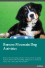 Image for Bernese Mountain Dog Activities Bernese Mountain Dog Activities (Tricks, Games &amp; Agility) Includes