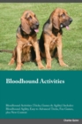 Image for Bloodhound Activities Bloodhound Activities (Tricks, Games &amp; Agility) Includes