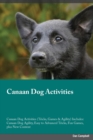 Image for Canaan Dog Activities Canaan Dog Activities (Tricks, Games &amp; Agility) Includes : Canaan Dog Agility, Easy to Advanced Tricks, Fun Games, plus New Content
