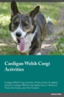 Image for Cardigan Welsh Corgi Activities Cardigan Welsh Corgi Activities (Tricks, Games &amp; Agility) Includes : Cardigan Welsh Corgi Agility, Easy to Advanced Tricks, Fun Games, plus New Content