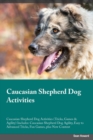Image for Caucasian Shepherd Dog Activities Caucasian Shepherd Dog Activities (Tricks, Games &amp; Agility) Includes : Caucasian Shepherd Dog Agility, Easy to Advanced Tricks, Fun Games, plus New Content