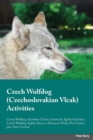 Image for Czech Wolfdog Czechoslovakian Vlcak Activities Czech Wolfdog Activities (Tricks, Games &amp; Agility) Includes