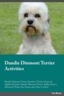 Image for Dandie Dinmont Terrier Activities Dandie Dinmont Terrier Activities (Tricks, Games &amp; Agility) Includes : Dandie Dinmont Terrier Agility, Easy to Advanced Tricks, Fun Games, plus New Content