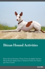 Image for Ibizan Hound Activities Ibizan Hound Activities (Tricks, Games &amp; Agility) Includes